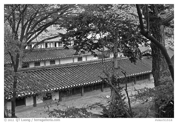 Fall foliage and tile rooftops, Yeongyeong-dang, Changdeokgung Palace. Seoul, South Korea