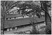 Fall foliage and tile rooftops, Yeongyeong-dang, Changdeokgung Palace. Seoul, South Korea (black and white)