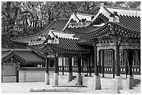 Huijeong-Dang, Changdeok Palace. Seoul, South Korea ( black and white)