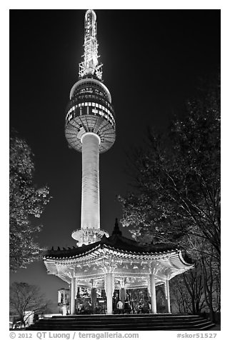 N Seoul Tower at night. Seoul, South Korea (black and white)