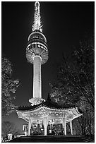 N Seoul Tower at night. Seoul, South Korea (black and white)