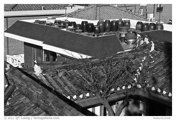 Tile rooftops of Hanok houses. Seoul, South Korea (black and white)