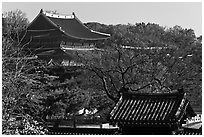 Changdeokgung Palace complex. Seoul, South Korea (black and white)