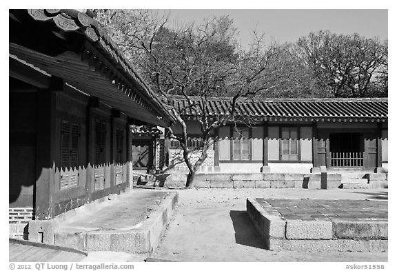 Jeongsa-cheong, Jongmyo shrine. Seoul, South Korea (black and white)