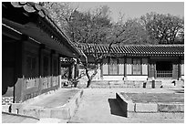Jeongsa-cheong, Jongmyo shrine. Seoul, South Korea (black and white)