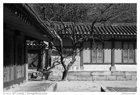 Jeongsa-cheong, Jongmyo royal ancestral shrine. Seoul, South Korea (black and white)