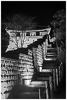 Steep section of wall at night, Namchi, Suwon Hwaseong Fortress. South Korea (black and white)