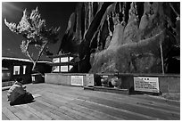 Woman wearing parka worshipping at Seon-bawi. Seoul, South Korea (black and white)