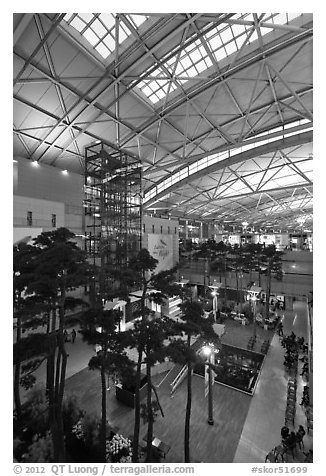 Trees inside Incheon international main terminal. South Korea (black and white)