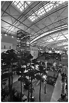 Trees inside Incheon international main terminal. South Korea (black and white)