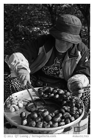 Woman grilling chestnuts. Daegu, South Korea (black and white)