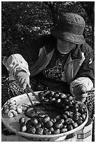 Woman grilling chestnuts. Daegu, South Korea (black and white)