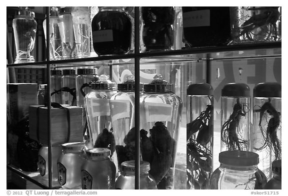 Jars filled with roots used in traditional medicine. Daegu, South Korea (black and white)