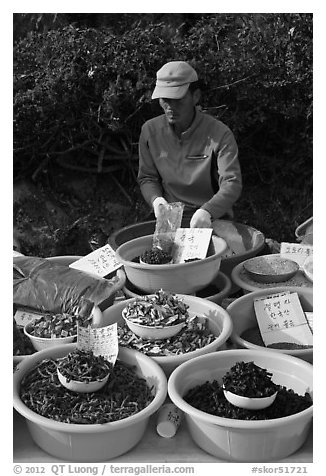 Man selling natural ingredients. South Korea (black and white)