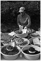 Man selling natural ingredients. South Korea (black and white)