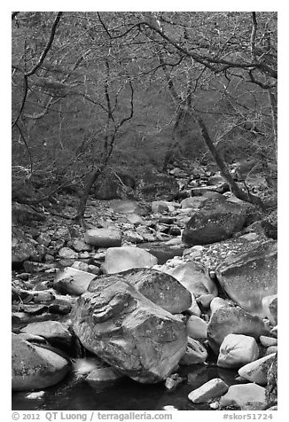 Stream in winter near Haeinsa. South Korea