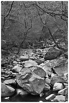 Stream in winter near Haeinsa. South Korea ( black and white)