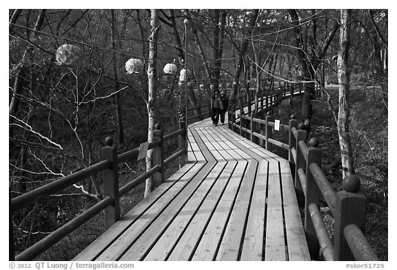 Elevated boardwalk near Haeinsa. South Korea (black and white)