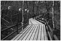 Elevated boardwalk near Haeinsa. South Korea ( black and white)