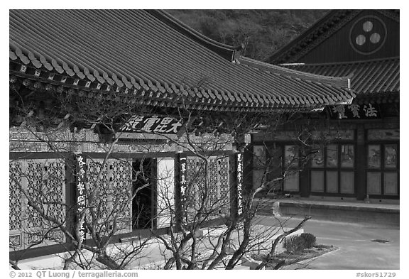 Buddhist temple detail, Haein-sa. South Korea (black and white)