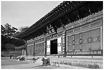 Daejeokkwangjeon (main hall), Haein-sa Temple. South Korea (black and white)