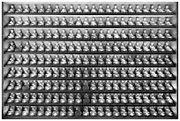 Array of buddha statues, Haein-sa Temple. South Korea (black and white)