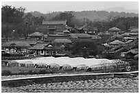 Fields, greenhouses, and village. Hahoe Folk Village, South Korea (black and white)