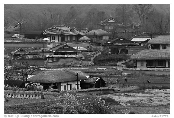 Straw roofed houses and tile roofed houses. Hahoe Folk Village, South Korea (black and white)