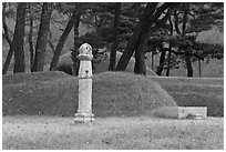 Funeral grass mounds. Hahoe Folk Village, South Korea ( black and white)