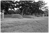 Cemetery. Hahoe Folk Village, South Korea (black and white)