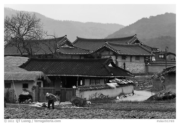 Villager tending to fields in front of ancient houses. Hahoe Folk Village, South Korea (black and white)