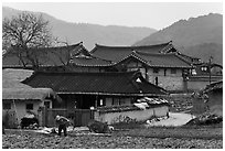 Villager tending to fields in front of ancient houses. Hahoe Folk Village, South Korea (black and white)