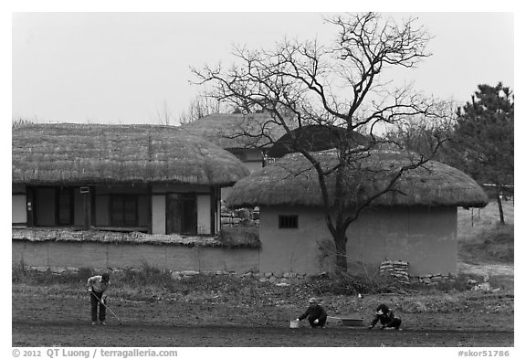 Villagers cultivating fields by hand in front of straw roofed houses. Hahoe Folk Village, South Korea (black and white)