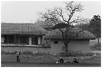 Villagers cultivating fields by hand in front of straw roofed houses. Hahoe Folk Village, South Korea (black and white)