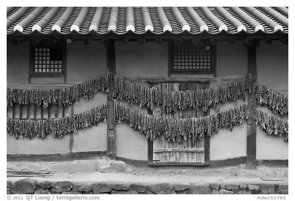 House wall with greens drying. Hahoe Folk Village, South Korea (black and white)