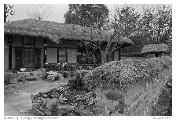House and fence with straw roofing. Hahoe Folk Village, South Korea (black and white)