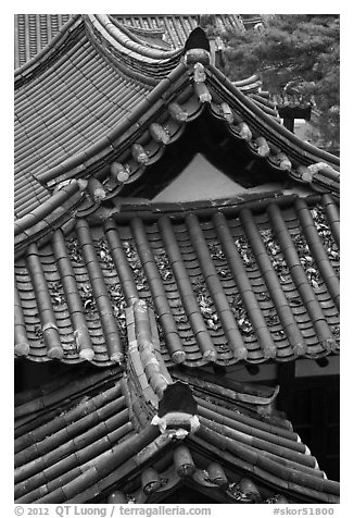 Tiled roofs. Hahoe Folk Village, South Korea (black and white)