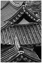 Tiled roofs. Hahoe Folk Village, South Korea (black and white)