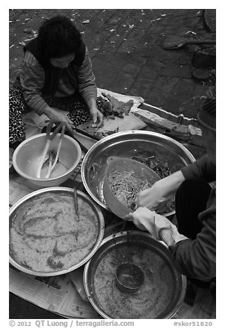 Kimchee preparation. Gyeongju, South Korea (black and white)