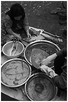 Kimchee preparation. Gyeongju, South Korea ( black and white)