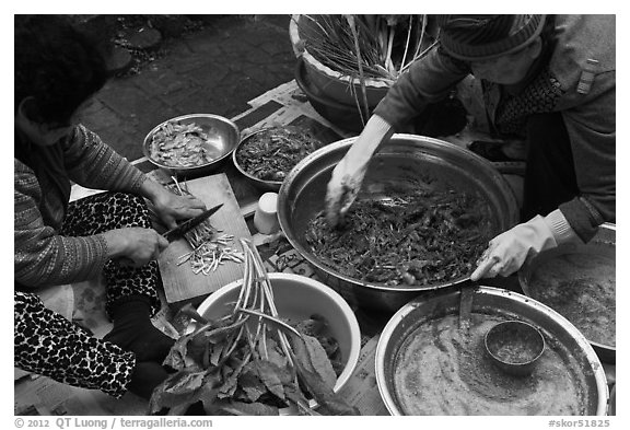 Women making gimchi. Gyeongju, South Korea (black and white)