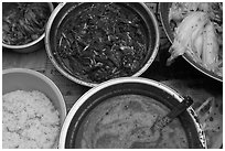 Korean kimchi ingredients. Gyeongju, South Korea ( black and white)