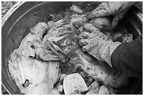 Handling kimjang kimchi. Gyeongju, South Korea (black and white)