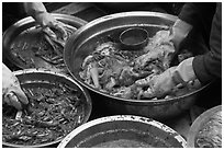 Hands seen mixing kim chee. Gyeongju, South Korea (black and white)