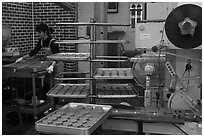 Woman baking Gyeongju barley bread. Gyeongju, South Korea (black and white)