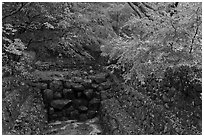 Landscaped creek in autumn, Bulguksa. Gyeongju, South Korea ( black and white)