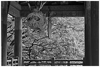 Fish-shaped gong and fall colors, Bulguk-sa. Gyeongju, South Korea ( black and white)