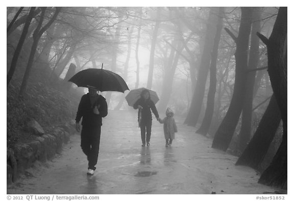 Family walking on path in the rain, Seokguram. Gyeongju, South Korea