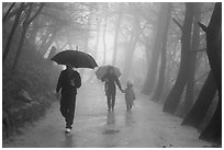 Family walking on path in the rain, Seokguram. Gyeongju, South Korea (black and white)