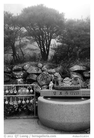 Sacred water fountain, Seokguram. Gyeongju, South Korea (black and white)